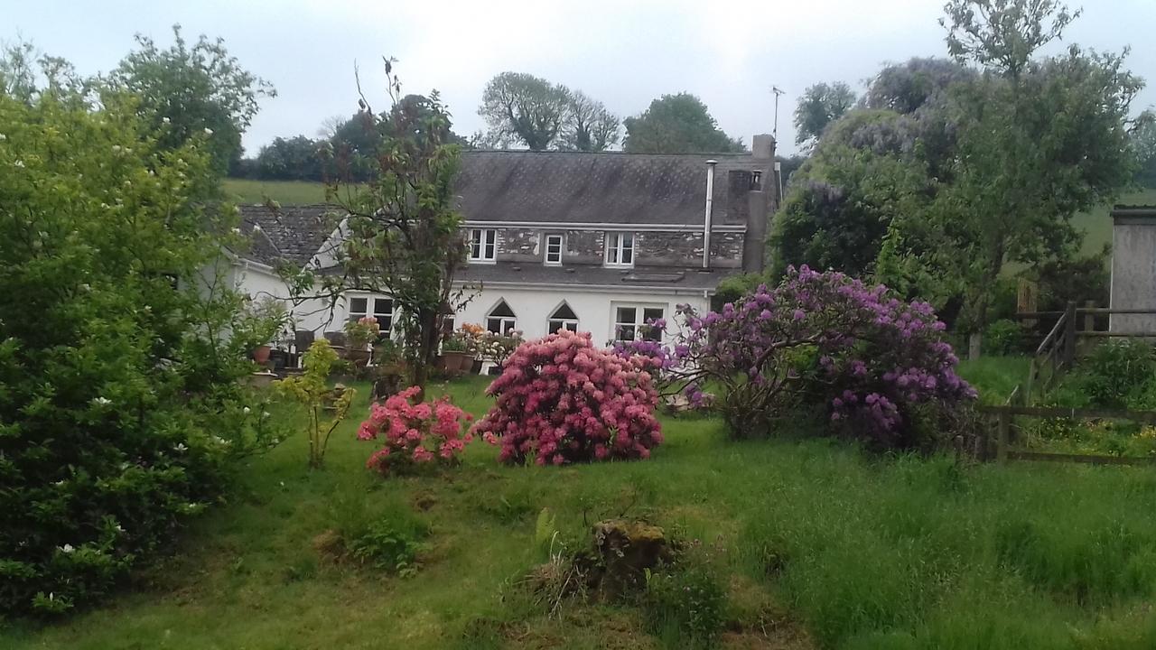 Hills Farm B&B Laugharne Extérieur photo